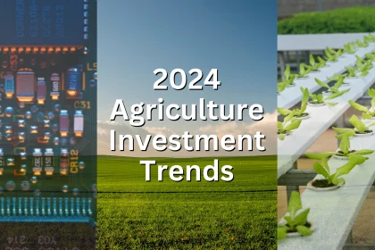 Artificial Climate Resurging Momentum: What You Need to Know