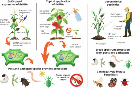 Revolutionary RNAi Tech for Eco-Friendly Pest Control