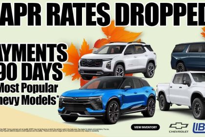 Palatine's Automotive Hub: Hyundai & Chevrolet Service Excellence