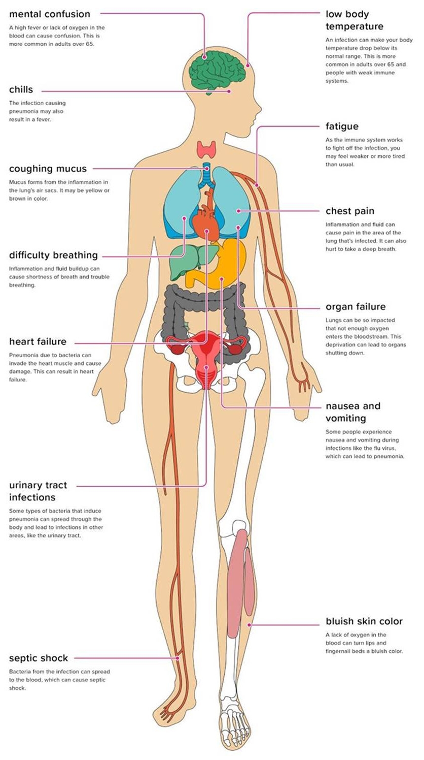 Why Your Body Is Weakening & How to Fight Back