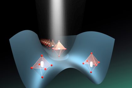 Unlocking the Secrets of Suppressed Order Directing Evolution