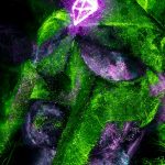 Verifiable Theory of Mind for AI in Energy Systems