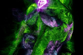 Verifiable Theory of Mind for AI in Energy Systems