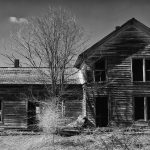 Government Shutdowns Halt Crucial Wood Science Studies