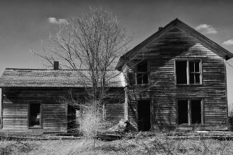 Government Shutdowns Halt Crucial Wood Science Studies