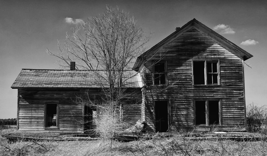 Government Shutdowns Halt Crucial Wood Science Studies