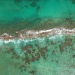 Atlas Turtle Release: 13 Miracles & Their Inspiring Journey!