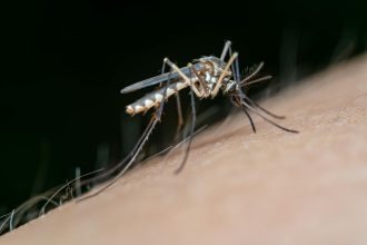 Malaria Control: From Science to Policy and Practice