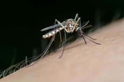 Malaria Control: From Science to Policy and Practice
