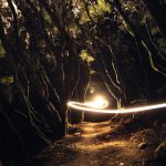 Trail Running: 7 Ways This Sport Becomes an Art Form