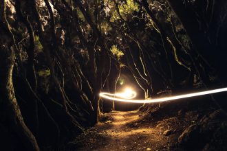 Trail Running: 7 Ways This Sport Becomes an Art Form