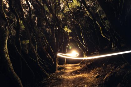 Trail Running: 7 Ways This Sport Becomes an Art Form