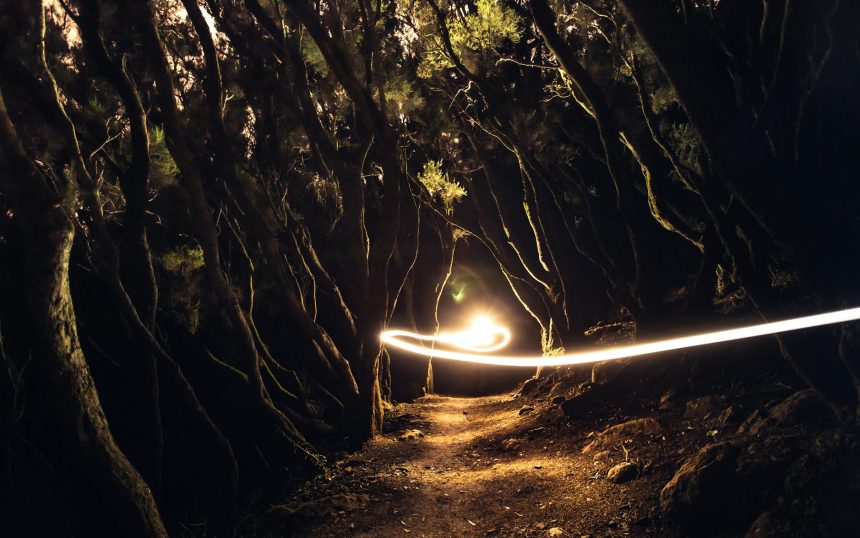Trail Running: 7 Ways This Sport Becomes an Art Form
