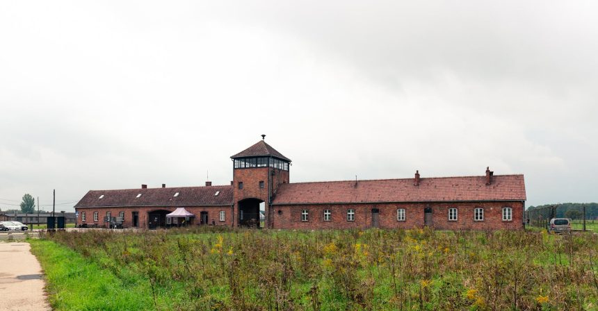 German historian Jürgen Matthäus has utilized AI and other tools to glean the identity of a notorious Nazi executioner in a World War II ...