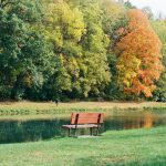 Perv lured middle schooler into NYC park with threat, made teen strip off shirt: sources | He allegedly forced her into a secluded area in Seton Falls Park with the threat, “I have a picture of you and your friends. If you don't want me to ...