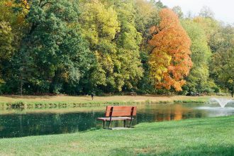 Perv lured middle schooler into NYC park with threat, made teen strip off shirt: sources | He allegedly forced her into a secluded area in Seton Falls Park with the threat, “I have a picture of you and your friends. If you don't want me to ...