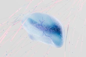 Artificial Neural Networks: Unlocking the Power of AI