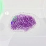 Spiking Neural Networks: Unlock Brain-Like Efficiency