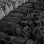 Reducing Food Loss in Supply Chains: Innovations Driving Efficiency