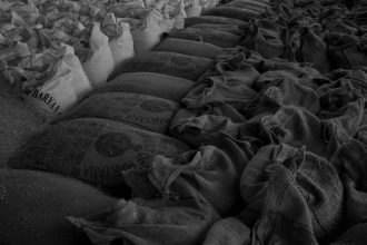 Reducing Food Loss in Supply Chains: Innovations Driving Efficiency