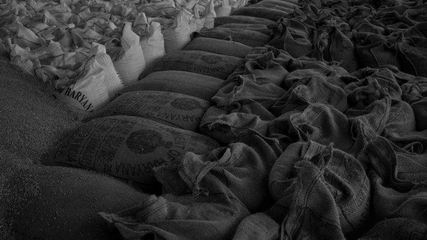 Reducing Food Loss in Supply Chains: Innovations Driving Efficiency
