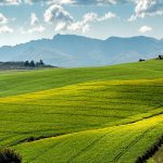 Quantum-Enhanced Fertilizers: Math Toolchain for Green Innovation
