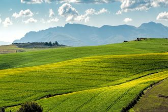 Quantum-Enhanced Fertilizers: Math Toolchain for Green Innovation