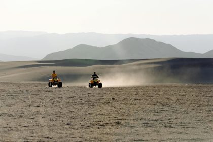 Travel involves two main expenditures of energy: fighting gravity and propelling yourself forward. Most terrestrial animals must expend energy first ...