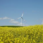 AI's Growing Energy Needs: Powering the Future