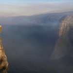 Yosemite Chaos: Shutdown Sparks Illegal BASE Jumps & Lawlessness ## Yosemite's Descent into Chaos: The Unforeseen Consequences of Government Shutdowns The majestic granite cliffs and pristine valleys of Yosemite National Park, typically a sanctuary of natural wonder, have reportedly been thrust into a state of disarray following the recent government shutdown. While the world watches the political machinations in Washington, the tangible impact on one of America's most beloved natural treasures is becoming alarmingly clear. Reports from within the park paint a grim picture: a surge in illegal activities, including BASE jumping, and a general breakdown of order, all stemming from the absence of essential federal services. This isn't just an inconvenience; it's a stark illustration of how shutdowns can unravel the very fabric of park management and visitor safety. ### The Shutdown's Shadow: What Happens When the Gates Close? Government shutdowns, a recurring feature of political brinkmanship, have a profound and often devastating effect on national parks. Yosemite, like countless others, relies on a dedicated team of rangers, maintenance staff, and administrative personnel to ensure its safety, preservation, and accessibility. When funding dries up, these essential services are curtailed, leaving vast wilderness areas vulnerable and the public unprotected. #### The Unraveling of Order: From Visitor Safety to Environmental Threats The primary concern during a shutdown is the drastic reduction in personnel. With fewer rangers on duty, the park's ability to monitor visitor behavior, enforce regulations, and respond to emergencies is severely hampered. This vacuum of authority can embolden individuals to engage in risky and illegal activities, transforming a place of natural beauty into a potential danger zone. * **Increased Illegal Activities:** The most visible consequence is the rise in prohibited actions. The press release highlights a significant uptick in illegal BASE jumping. This inherently dangerous activity, which involves parachuting from fixed objects, becomes even more perilous without proper oversight, safety protocols, and emergency response capabilities. The risk of injury or fatality escalates dramatically. * **Environmental Degradation:** Beyond immediate safety concerns, a lack of staff means less vigilance against environmental threats. Illegal dumping, unauthorized campfires, and damage to sensitive ecosystems can go unchecked, leading to long-term damage to Yosemite's delicate balance. * **Compromised Visitor Experience:** While the focus is often on safety and law enforcement, the shutdown also diminishes the visitor experience. Essential services like visitor centers, trail maintenance, and interpretive programs are halted, leaving visitors with fewer resources and potentially a less enjoyable and informative visit. ### Yosemite's Wild Side Unleashed: The Rise of Illegal BASE Jumping The reports of increased illegal BASE jumping in Yosemite are particularly concerning. This extreme sport, while thrilling for participants, carries immense risks. In a controlled environment with proper permits and safety measures, the risks can be mitigated. However, in the absence of park authority, these jumps become unregulated gambles with potentially tragic outcomes. #### The Perils of Unregulated Jumps BASE jumping involves leaping from a fixed object, such as a cliff or building, and deploying a parachute. The acronym stands for "Building, Antenna, Span, Earth." Yosemite's iconic granite formations, like El Capitan and Half Dome, present an irresistible allure for such extreme athletes. However, the consequences of a failed parachute deployment, miscalculation of wind speed, or landing in an inaccessible area are dire. * **Lack of Search and Rescue:** In the event of an accident, the park's search and rescue teams are often among the first services to be scaled back during a shutdown. This means that if a BASE jumper gets into trouble, the response time for critical medical assistance could be significantly delayed, if not entirely unavailable. * **Environmental Impact of Landings:** Even successful jumps can pose risks to the environment. BASE jumpers may land in sensitive areas, disturbing wildlife or vegetation. The recovery of equipment from remote or dangerous locations can also be challenging and resource-intensive. * **Setting a Dangerous Precedent:** Allowing such activities to occur unchecked can create a perception that park regulations are not enforced, potentially encouraging other forms of risky behavior and further straining park resources once operations resume. ### Beyond BASE Jumping: A Wider Spectrum of Lawlessness While illegal BASE jumping has captured headlines, the breakdown of order during a shutdown can manifest in numerous other ways. The absence of park rangers creates a permissive atmosphere, leading to a broader range of violations. #### The Ripple Effect of Reduced Enforcement The impact of a shutdown extends far beyond a single category of illegal activity. It's a systemic issue that affects the entire operational capacity of the park. * **Increased Trespassing and Unsanctioned Camping:** Without patrols, individuals may be more inclined to venture into closed areas or set up camp in undesignated locations, further stressing fragile ecosystems. * **Wildlife Disturbances:** The presence of fewer people and rangers can sometimes lead to increased human-wildlife interactions, which can be detrimental to both animals and visitors if not managed properly. Feeding wildlife, a common problem, can become more prevalent. * **Vehicle Infractions and Safety Hazards:** Speeding, reckless driving, and parking violations can go unaddressed, posing a significant safety risk to other park visitors. ### The Economic and Environmental Cost of Neglect The consequences of a government shutdown in a national park like Yosemite are not merely abstract; they carry tangible economic and environmental costs. #### Short-Term Gains, Long-Term Losses While the immediate "saving" of government funds might be the intention behind a shutdown, the long-term repercussions can far outweigh any perceived financial benefit. * **Damage Repair Costs:** Environmental damage or damage to park infrastructure caused by unchecked activities will require significant resources to repair once funding is restored. These costs can be substantial and may take years to rectify. * **Loss of Tourism Revenue:** Negative publicity surrounding increased lawlessness and safety concerns can deter future visitors, leading to a loss of tourism revenue that supports local economies. * **Erosion of Public Trust:** Repeated shutdowns and the resulting neglect can erode public trust in the government's ability to manage and protect its natural resources, potentially impacting conservation efforts in the long run. ### Reclaiming the Sanctuary: What Needs to Happen The situation in Yosemite underscores the critical importance of consistent funding and staffing for national parks. The current reliance on political negotiation for basic operational needs is unsustainable and demonstrably harmful. #### Moving Forward: A Call for Stability and Responsibility To prevent future occurrences of such chaos, several key actions are necessary: 1. **Prioritize Park Funding:** Congress must recognize national parks as essential infrastructure and prioritize their consistent funding, ensuring that operations are not held hostage by political disputes. 2. **Invest in Staffing:** Adequate staffing levels for rangers, maintenance crews, and administrative personnel are crucial for maintaining safety, enforcing regulations, and preserving park resources. 3. **Public Awareness and Education:** Continued public education about the importance of national parks and the consequences of illegal activities is vital. Visitors must understand their role in preserving these natural treasures. The scenes emerging from Yosemite are a somber reminder that our national parks are not just scenic backdrops but complex ecosystems and vital public resources that require constant care and protection. The chaos that has reportedly descended upon Yosemite is a wake-up call, urging us to reconsider how we value and fund these irreplaceable treasures. --- copyright 2025 thebossmind.com **Source Links:** * [https://www.nps.gov/yose/index.htm](https://www.nps.gov/yose/index.htm) * [https://www.nps.gov/subjects/safety/base-jumping.htm](https://www.nps.gov/subjects/safety/base-jumping.htm)