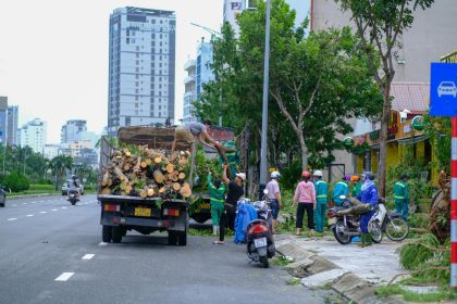 The crypto investor was also ordered to do 75 hours of community service. According to case prosecutor Margaret Beres, the thirtyfold financial ...
