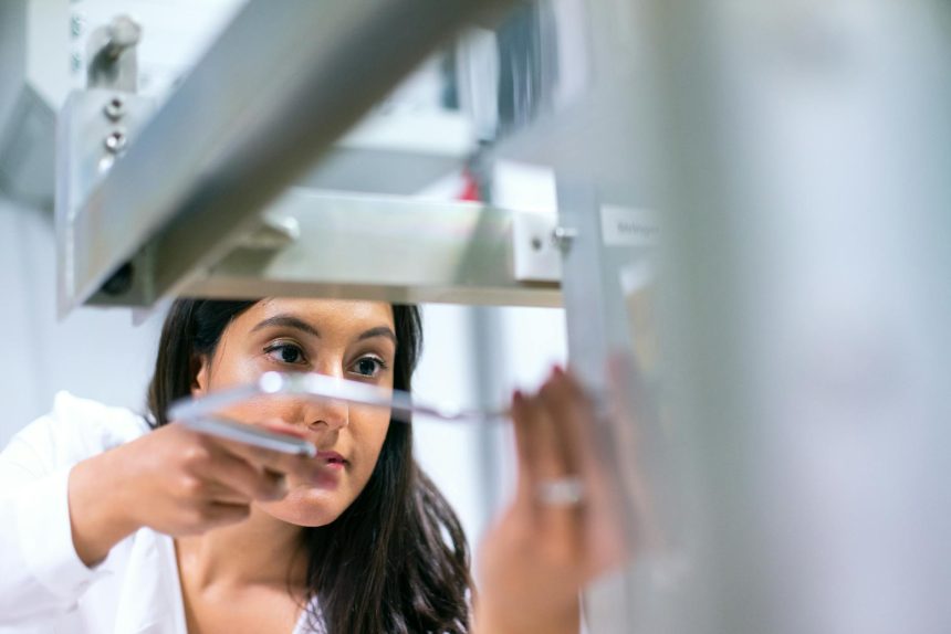 Software Engineer Jobs: Your Path to a Rewarding Career