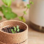Sustainable Living: 7 Simple Steps to a Greener, Happier Life