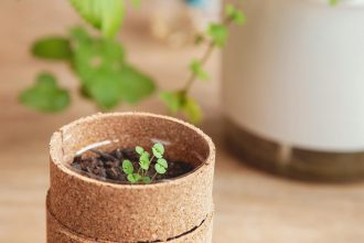 Sustainable Living: 7 Simple Steps to a Greener, Happier Life