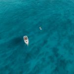 US military seized survivors after Caribbean drone strike on suspected drug smuggling boat | U.S. military seized survivors after a drone strike on alleged drug smuggling boat in the Caribbean, marking first known survivors in President ...