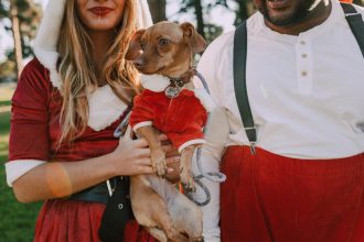 Preserving Property History: 7 Ways Owners Build Lasting Legacies