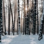 These are 5 of the most infamous winter storms in recent US history - FOX Weather | It was dubbed the worst ice storm in Nashville's history, where eight inches of ice covered the ground, according to the National Weather Service.
