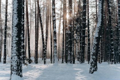 These are 5 of the most infamous winter storms in recent US history - FOX Weather | It was dubbed the worst ice storm in Nashville's history, where eight inches of ice covered the ground, according to the National Weather Service.