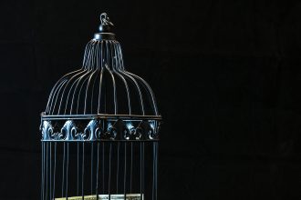 Assessing AI Risks in Investments: 7 Critical Factors for Private Capital