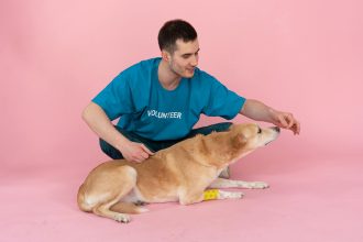 Finding Forever Homes for Pets: Your Ultimate Guide