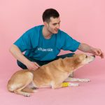 Finding Forever Homes for Pets: Your Guide