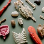The researcher Eliezer Yudkowsky says that what A.I. wants most is not for humanity to live “happily ever after.” “What the entity, the organism, ...