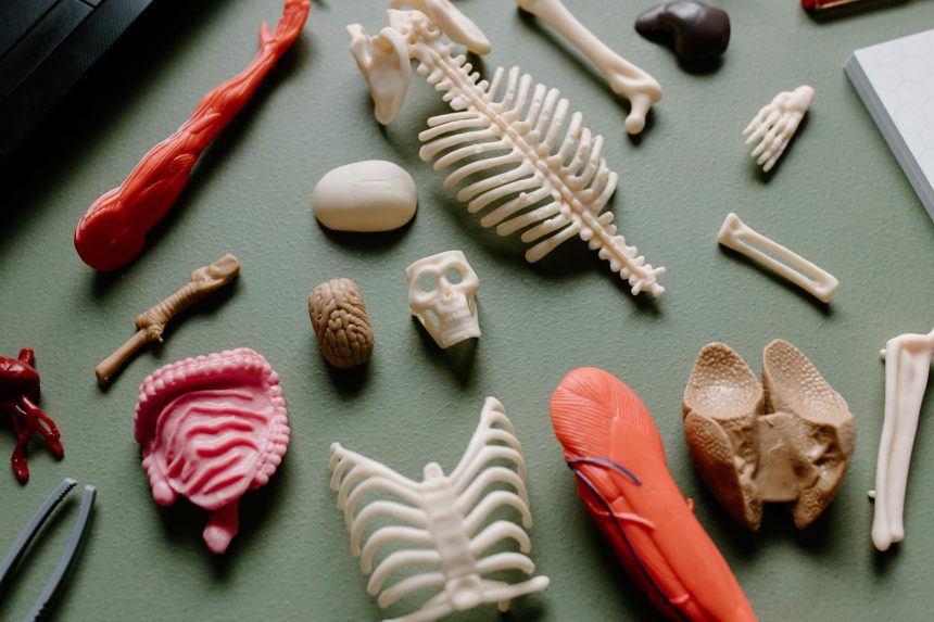 The researcher Eliezer Yudkowsky says that what A.I. wants most is not for humanity to live “happily ever after.” “What the entity, the organism, ...