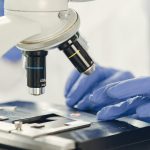 PhD Biomedical Research Areas: Your Path to Discovery