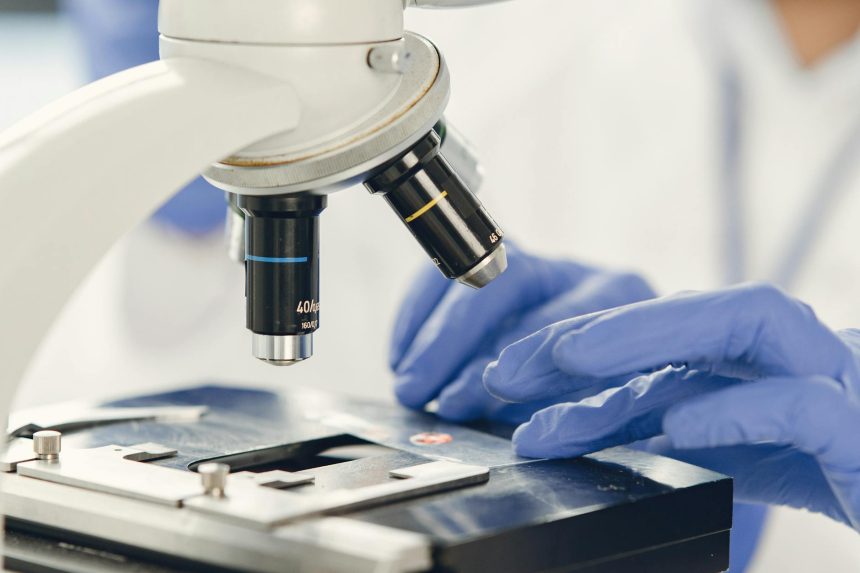 PhD Biomedical Research Areas: Your Path to Discovery
