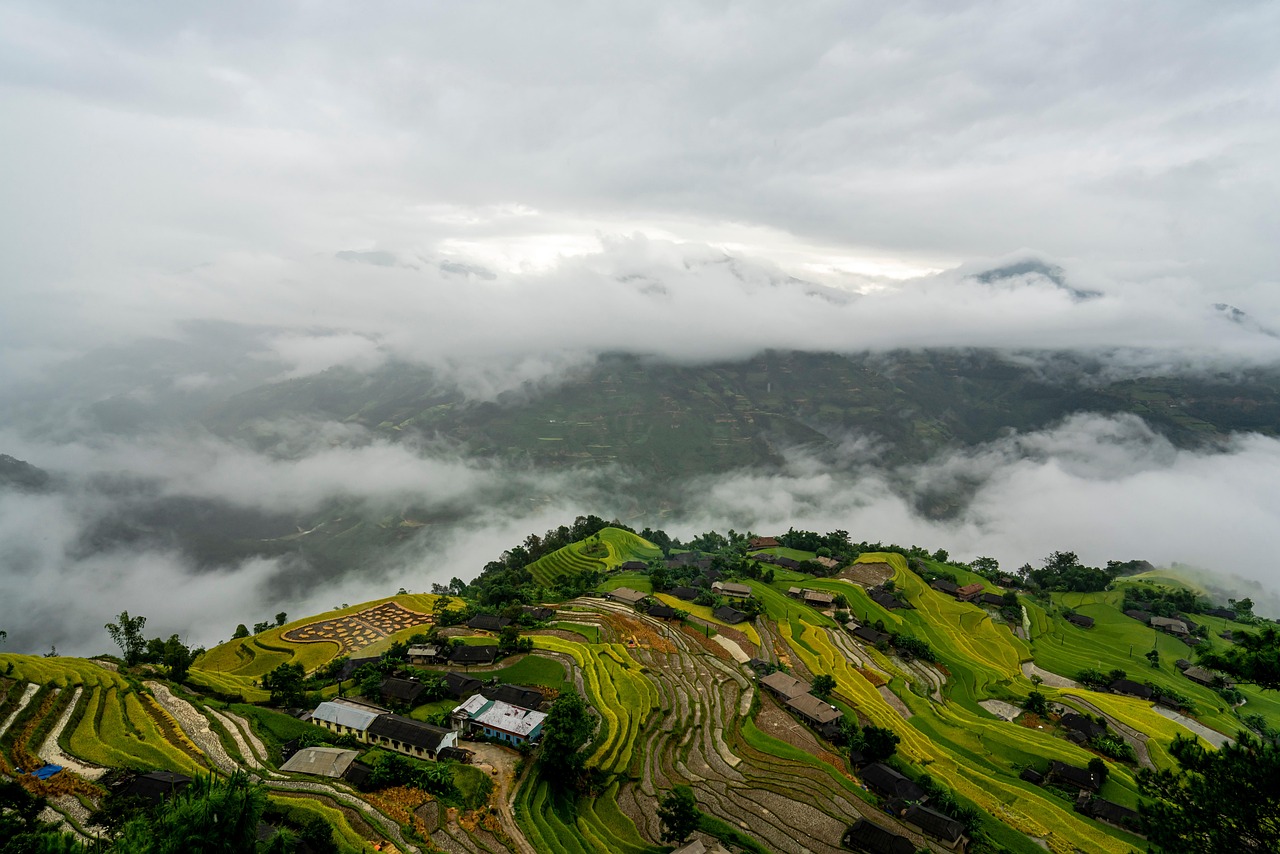 insurance claim process step by step