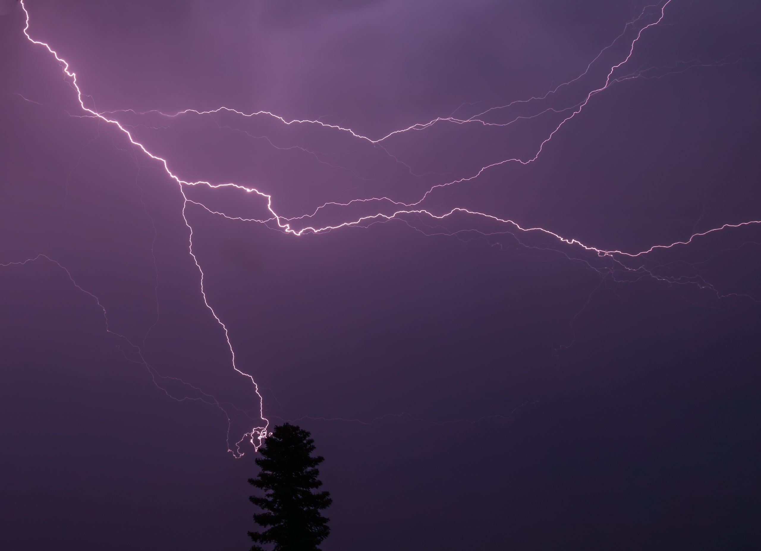 The Lightning Paradox: Why Over-Optimization Is a Strategic Risk