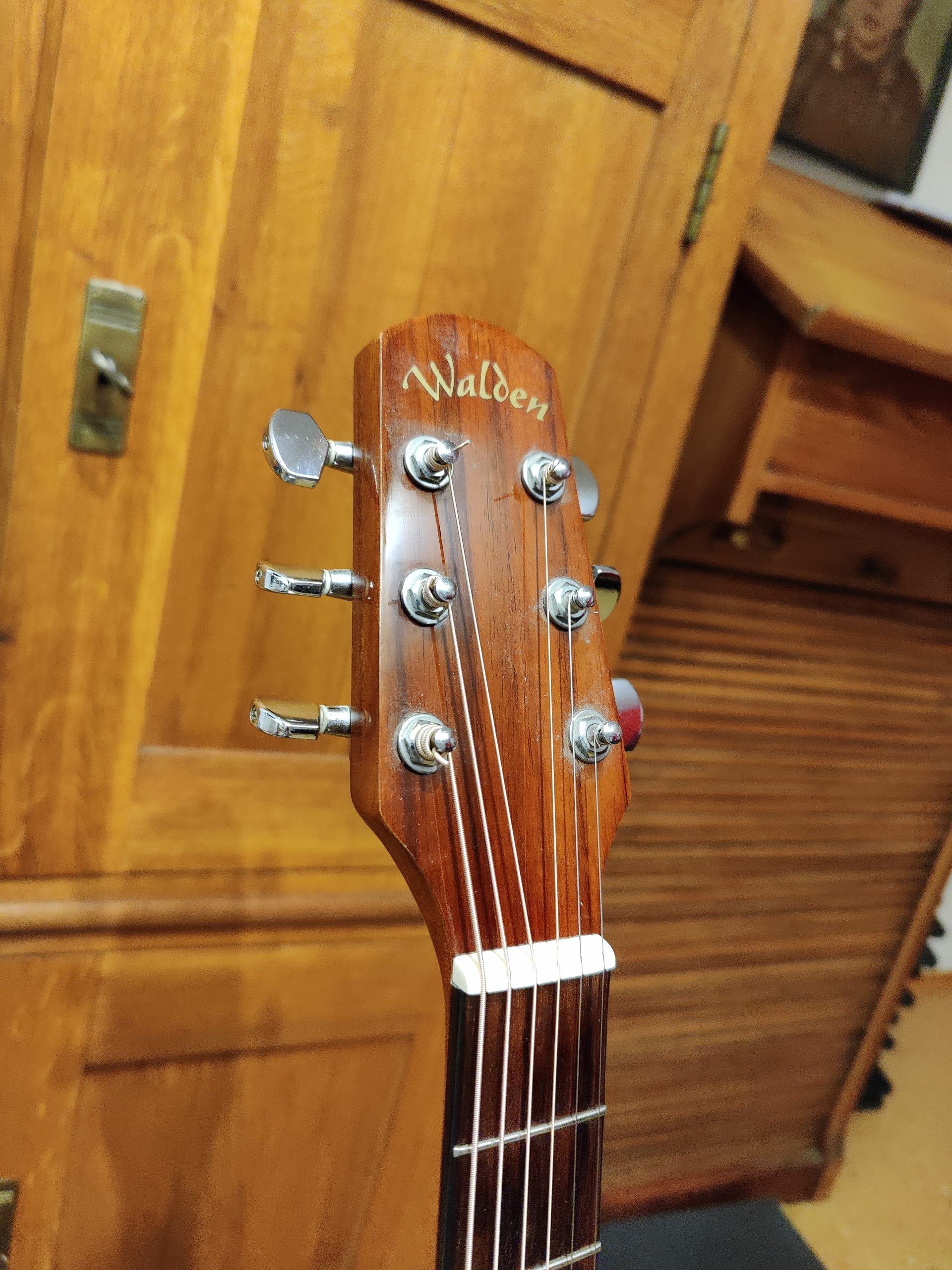 Acoustic Bio-Hacking: Beyond Light and Into the Frequency of Focus