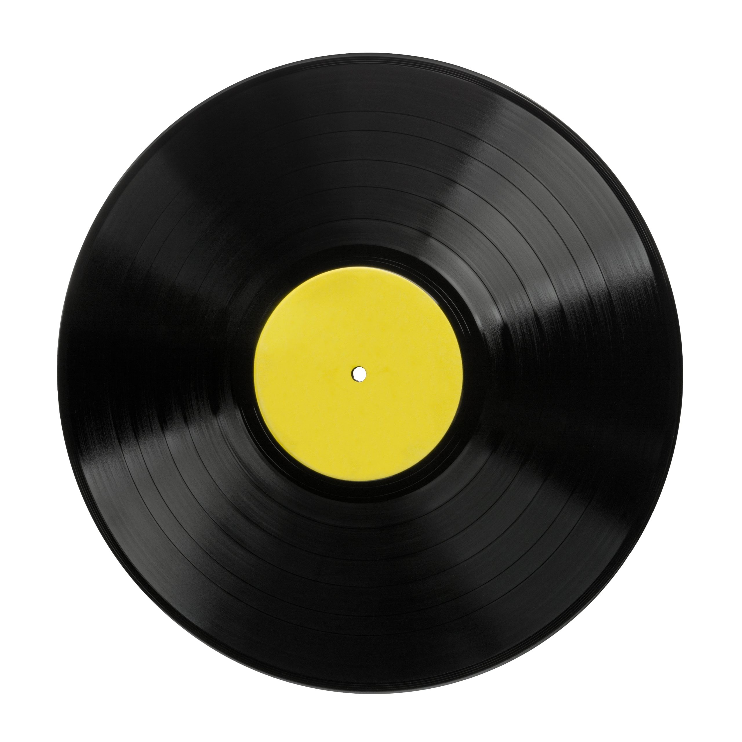 Record training data provenance to ensure traceability and bias identification. 12in-Vinyl-LP-Record-Angle