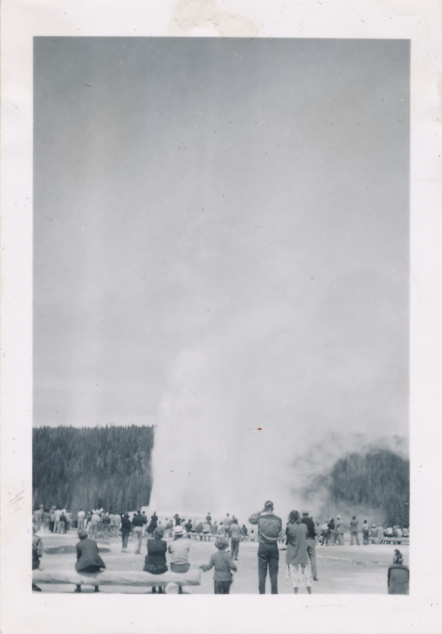 1949_Yellowstone_National_Park_Vacation2C_Old_Faithful